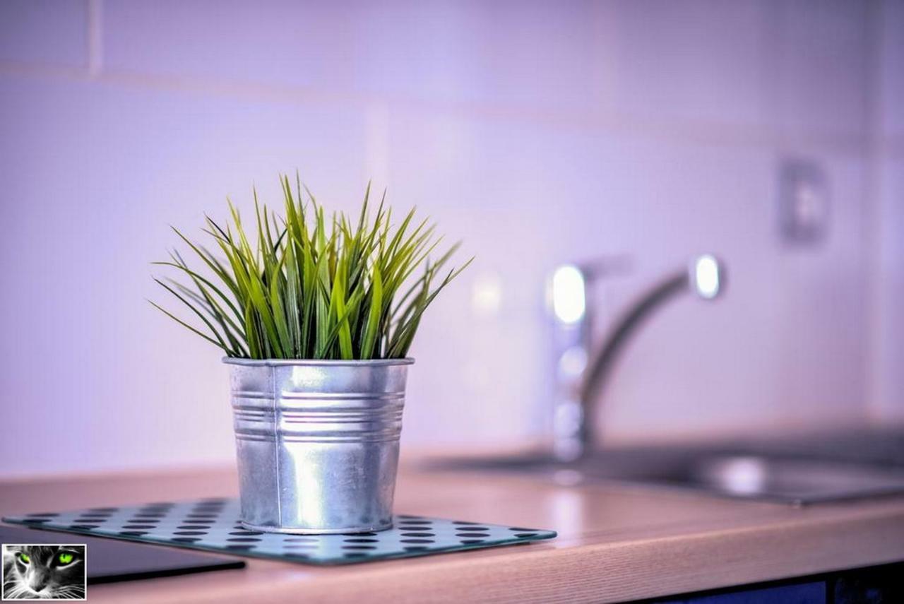 Appartement Spacieux ชิลติงไฮม์ ภายนอก รูปภาพ
